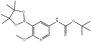 (6-甲氧基-5-(4,4,5,5-四甲基-1,3,2-二氧杂环戊硼烷-2-基)吡啶-3-基)氨基甲酸叔丁酯 结构式
