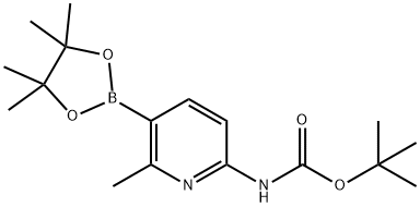 tert-Butyl(6-methyl-5-(4,4,5,5-tetramethyl-1,3,2-dioxaborolan-2-yl)pyridin-2-yl)carbamate