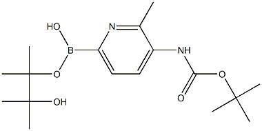 3-TERT-BUTYLOXYCARBONYLAMINO-2-METHYLPYRIDINE-6-BORONIC ACID PINACOL ESTER 结构式