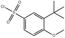 3-叔丁基-4-甲氧基-苯磺酰氯 结构式