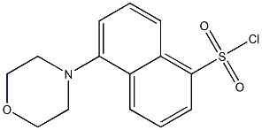 5-MORPHOLIN-4-YL-NAPHTHALENE-1-SULFONYL CHLORIDE 结构式