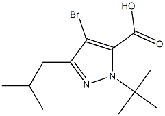 4-BROMO-1-(TERT-BUTYL)-3-(2-METHYLPROPYL)-1H-PYRAZOLE-5-CARBOXYLIC ACID 结构式