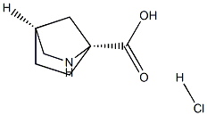 (1R,4S)-2-AZABICYCLO[2.2.1]HEPTANE-1-CARBOXYLIC ACID HYDROCHLORIDE 结构式