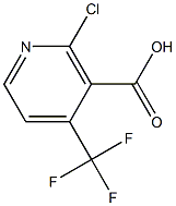 2-CHLORO-4-(TRIFLUOROMETHYL)NICOTINIC ACID 结构式