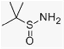(S)-(-)-tert-Butanesulfinamide ( S-2-methyl-2-propanesulfinamide )