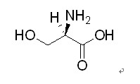 D-丝氨酸,(R)-2-Amino-3-hydroxy-propionic acid，D-SERINE