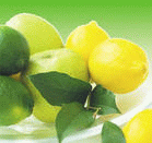 柠檬苦素,Limonin