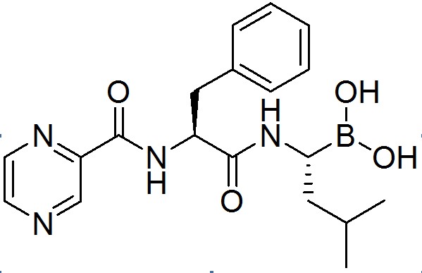 硼替佐米,Bortezomib velcade