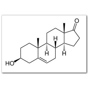 去氫表雄酮（53-43-0）