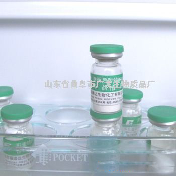 供應(yīng)注射級醫(yī)藥中間體玻璃酸鈉,Sodium Hyaluronate （Hyaluronate Acid、HA Hyaluronan）