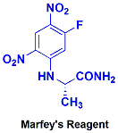 Marfey's Reagent,Marfey's Reagent