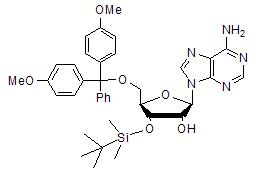 5’-O-DMT-3’-O-TBDMS adenosine,5’-O-(4,4’-Dimethoxytrityl)-3’-O-t-butyldimethylsilyl adenosine
