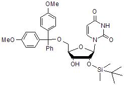 5’-O-DMT-2’-O-TBDMS uridine,5’-O-DMT-2’-O-TBDMS uridine