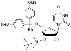 5’-O-DMT-3’-O-TBDMS uridine,5’-O-(4,4’-Dimethoxytrityl)-3’-O-t-butyldimethylsilyl uridine