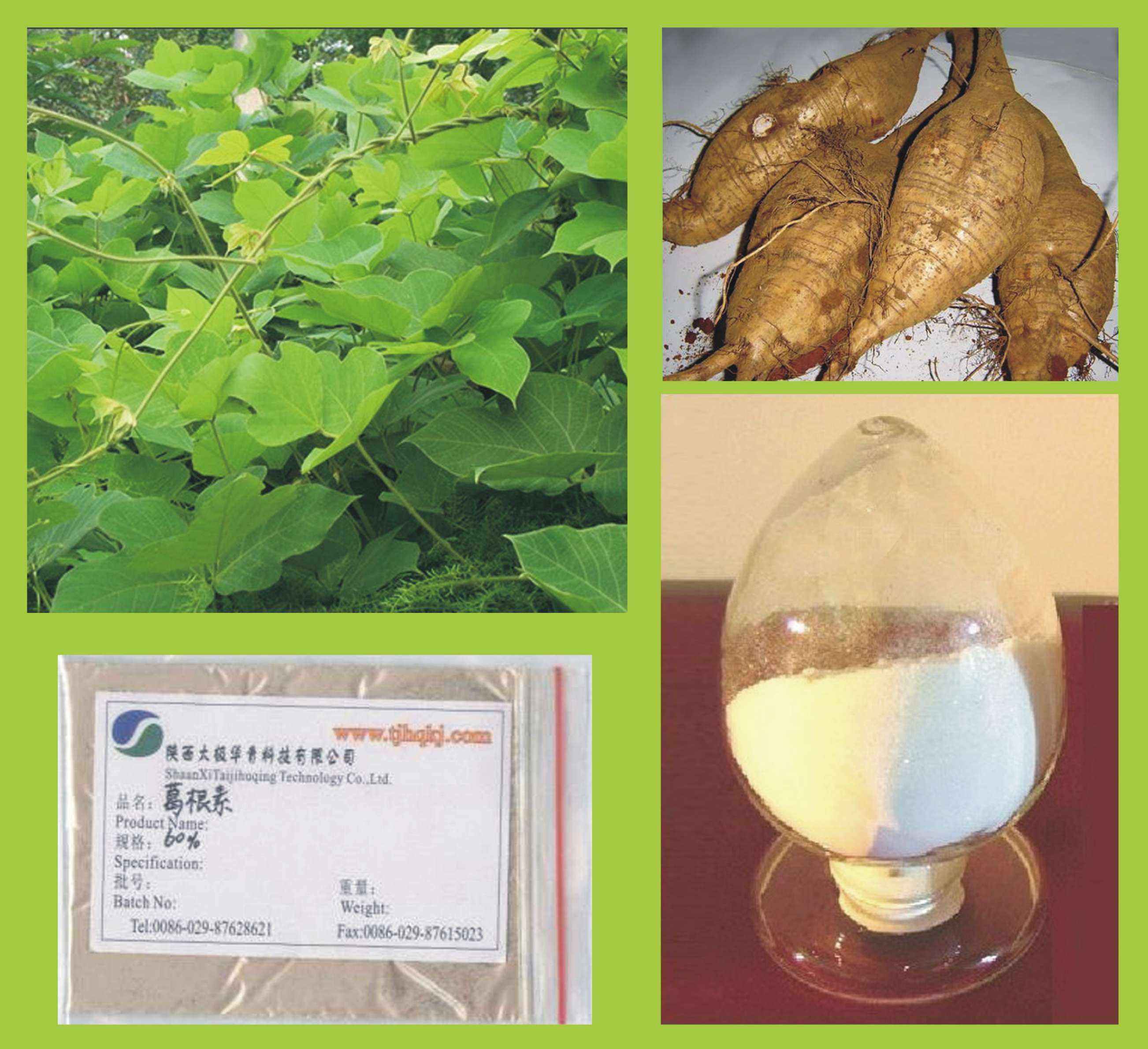 葛根素/葛根提取物--葛根黃酮   HPLC 40%-99%  現(xiàn)貨供應(yīng),Puerarin