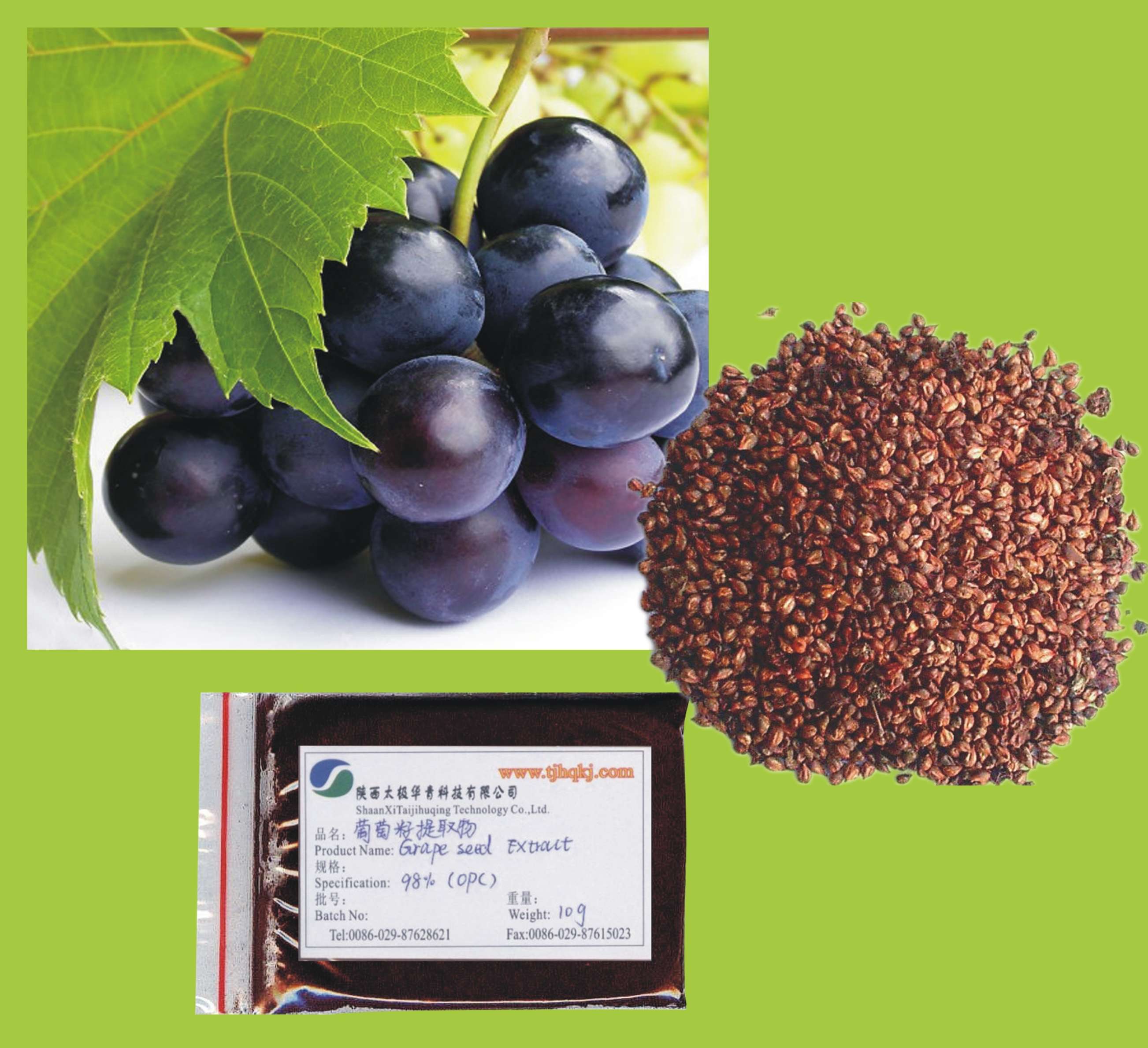 葡萄籽提取物（原花青素OPC）水溶性--厂家供应,Proanthocyanidins/Grape Seed P.E.