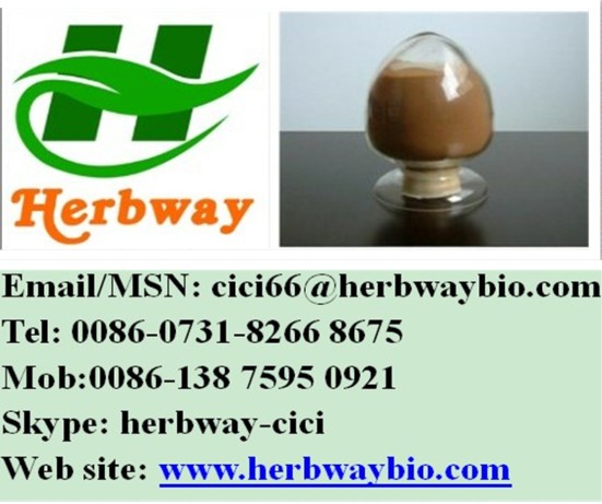 羌活提取物,Notopterygium Root Extract