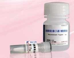 胰蛋白酶细胞消化液,trypsin solution