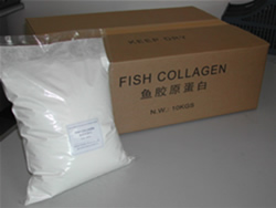 食品級(jí)膠原蛋白,food grade fish collagen peptide