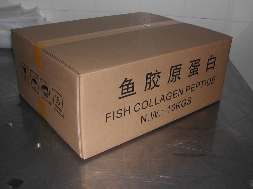 膠原蛋白,fish collagen peptide