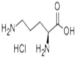 L-鸟氨酸盐酸盐/L-2,5-二氨基戊酸盐酸盐/L-Ornithine HCL