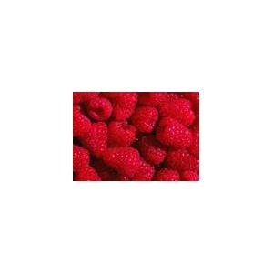 sell Red raspberry  anthocyani