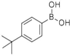 4-叔丁基苯硼酸