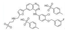 拉帕替尼,Lapatinib