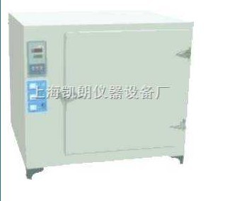 高温干燥箱 高温烘箱DHT-560