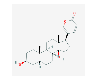 蟾毒灵,Bufalin