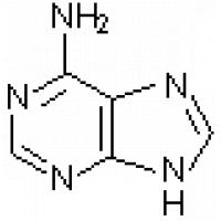 腺嘌呤,Adenine