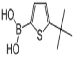 5-叔丁基-噻吩-2-硼酸