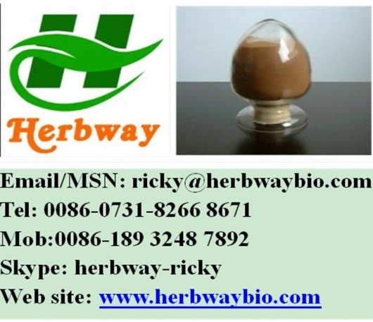 桑叶提取物(ricky@herbwaybio.com),Mulberry Leaf Extract(ricky@herbwaybio.com)