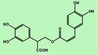 迷迭香,ROSMARINIC ACID