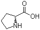 D-脯氨,D-Prolin