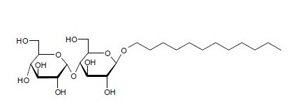 十二烷基-beta-D-麦芽糖苷,Carbosynth