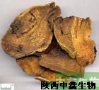 大黃提取物大黃素大黃提取物現(xiàn)貨大黃提取物,dahuangtiquwu