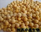 大豆提取物大豆異黃酮大豆提取物現(xiàn)貨大豆提取物,dadoutiquwu