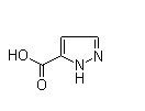 吡唑-3-甲酸,5-Pyrazolecarboxylic acid