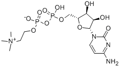 胞二磷胆碱,CDP-Choline