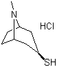 Tropine-3-thiol Hydrochloride,Tropine-3-thiol Hydrochloride