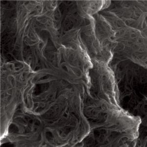 Nanointegris HiPco小管径单壁碳纳米管