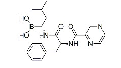 硼替佐米,Bortezomib