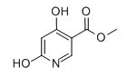 4,6-二羟基烟酸甲酯,3-Pyridinecarboxylic acid, 1,6-dihydro-4-hydroxy-6-oxo-, methyl este