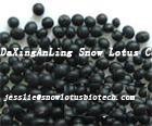 Black bean hull extract(anthocyanin),Black bean hull extract(anthocyanin)