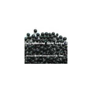 Black bean hull extract(anthocyanin)