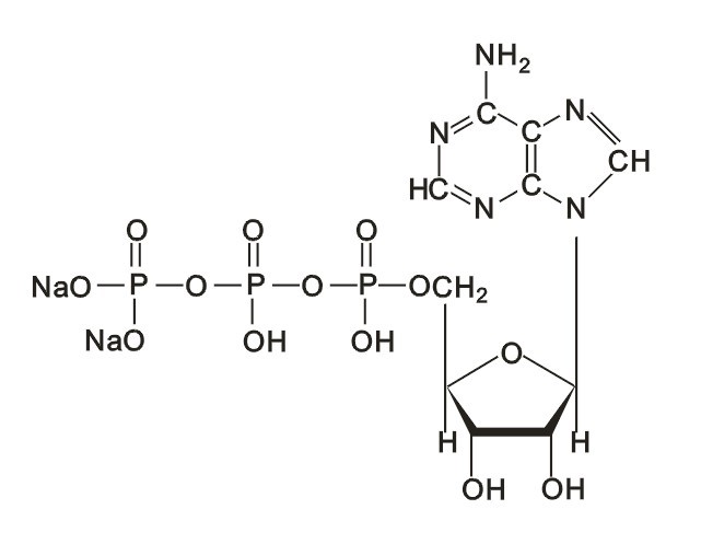 三磷酸腺苷分子结构式图片