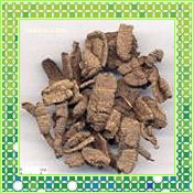 巴戟天提取物,Morinda Root Extract