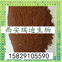 甘草浸膏粉,Extracturm glycyrrhiza