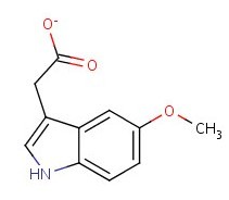 5-甲氧基吲哚-3-乙酸,5-Methoxyindole-3-acetic acid